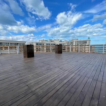 Arkpalmira 2* Odessa