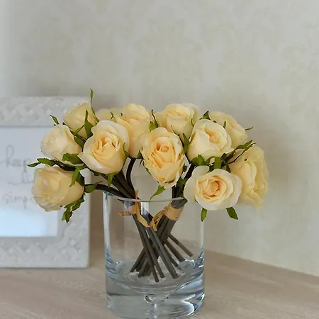 Arkpalmira Hotell 2*